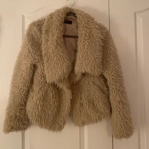 Zara shaggy teddy coat